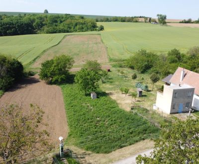Predáme rekreačný pozemok vo viničnej oblasti obce Klasov