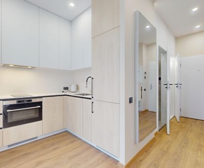 PRENAJATÉ!! 3 izbový byt v Danube residencia 