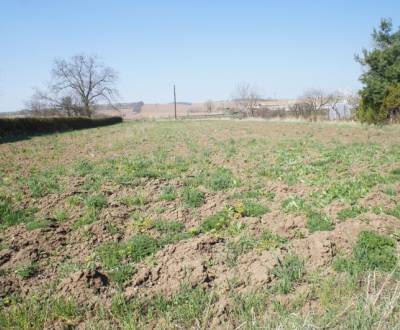 Pozemok v obci Koniarovce v slepej uličke