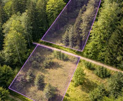 Predaj lesného pozemku jedného majiteľa v Rakovej