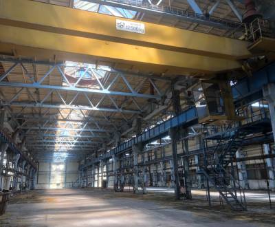 NA PRENÁJOM VÝROBNÁ HALA, 6480 m2, MEDZILABORCE