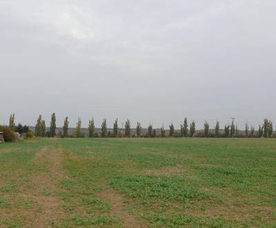 Investičná príležitosť. Pôda pri budmerickom kaštieli.