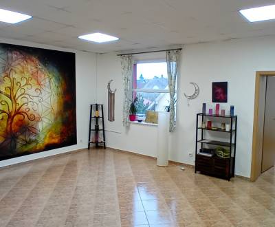 Na prenájom priestor 52 m - dvojkancelária Trnava Sladovnícka