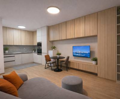 NADŠTANDARDNÉ BÝVANIE | 1-IZBOVÝ BYT | BRATISLAVA – PRÍSTAVNÁ