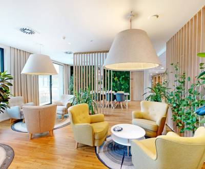 3D, prenájom, unikátne kancel. priestory Zuckermandel, Staré Mesto