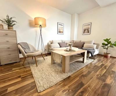 Prenájom 3 izb bytu s garážovým státím Vienna Gate, Petržalka