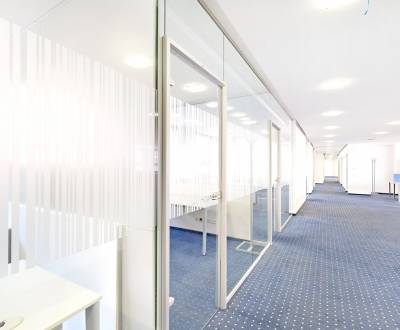 Prenájom kancelárskych priestorov 297 m², Košická ul., Nivy           