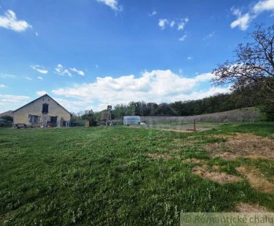 27130m2 samota obklopená lesom - Šalov, okres Levice