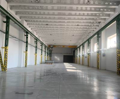 NA PRENÁJOM VÝROBNÁ A SKLADOVÁ HALA 476 m2, v KOŠICIACH