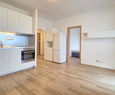 Predaj - dvojgarsónka s loggiou, Holíčska, Bratislava -Petržalka