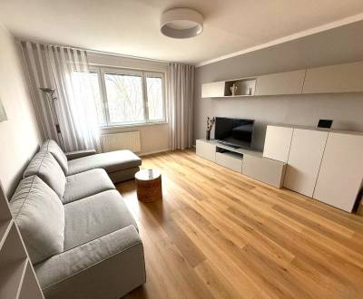 Prenájom 3 izbový byt, Švabinského ulica, Bratislava V. Petržalka