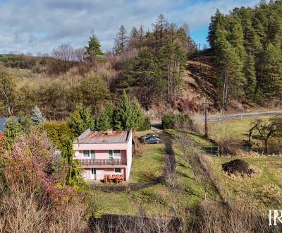 RD s VEĽKÝM POZEMKOM V SRDCI PRÍRODY, Tŕstie