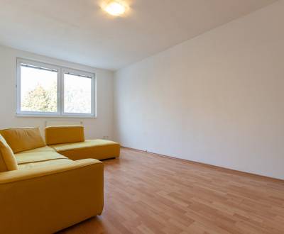 Nezariadený 3i byt s parkovaním, Podunajské Biskupice