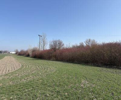 NA PREDAJ pozemok /5 559 m2/ v Komárne časť Malá Iža