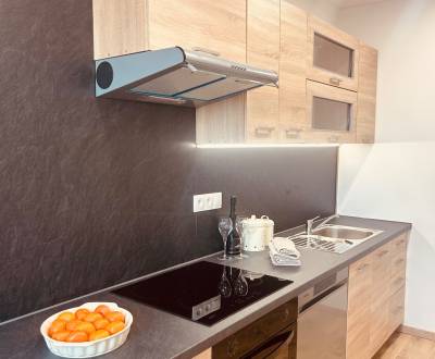 Prenájom kompletne zrekonštruovaného 3 izb.b v Nz