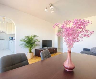 NA PRENÁJOM PRIESTRANNÝ 3-IZBOVÝ BYT,UL. KUZMANYHO