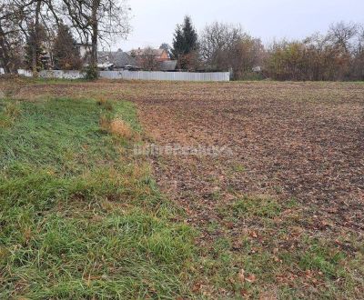 Predaj stavebného pozemku v obci Farná, Levice