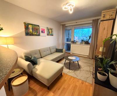 Pekný zariadený 3 izbový byt s lodžiou,  Mierová ulica, BA II. Ružinov