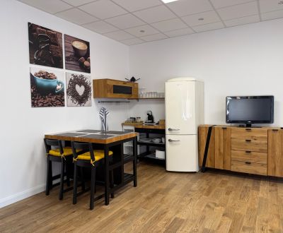 PRENÁJOM nadštandardný byt/apartmán, ul. Rudlovská cesta, centrum B.B.