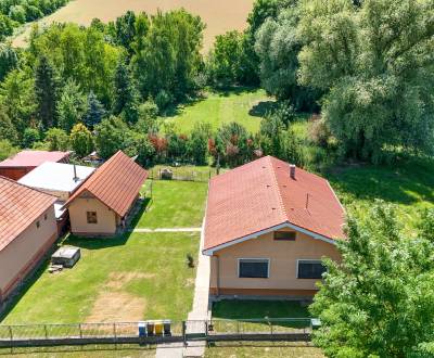 Rodinný dom s krásnym 18 á pozemkom ( stavebným) - Nové Sady 