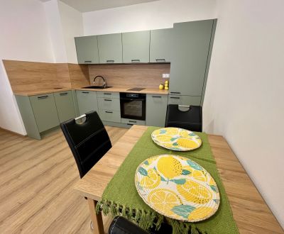 Na prenájom 2-izb.byt (40 m2) Senica - centrum
