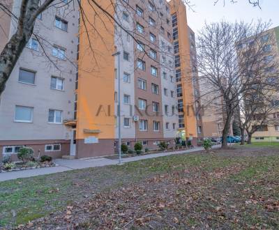 NA PREDAJ 3 IZBOVÝ ZREKONŠTRUOVANÝ BYT,DUNAJSKÁ STREDA