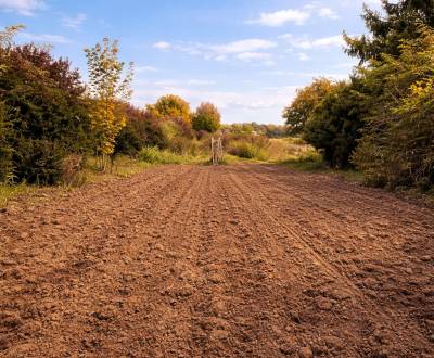 Veľkorysý pozemok na výstavbu rodinného domu - Horné Topoľníky