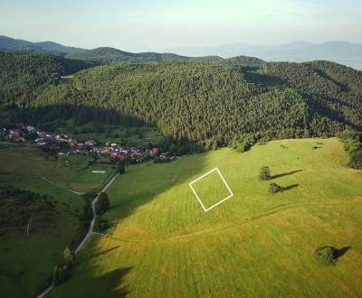 Predaj, pozemok v obci Breštie.