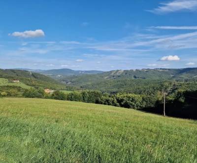 Petrova Lehota – 3.272 m2 ORNÁ PÔDA – PREDAJ