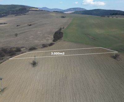 Investičný pozemok 3.000m2 Lipany, okres Sabinov 15,-Eur/m2