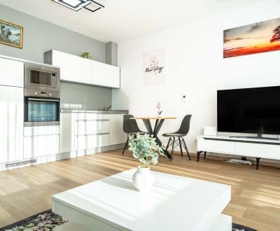 REZERVOVANÉ: PRENÁJOM-1 izbový byt + KK, Košice-centrum,  Strojárenská
