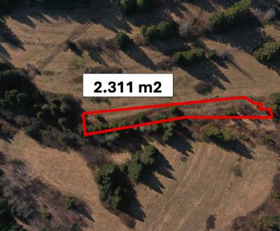 Krušetnica – 2.311 m2 LESNÝ pozemok v podiele 1/1 – PREDAJ 