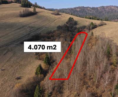 Krušetnica – 4.070 m2 LES pri intraviláne v podiele 1/1 – Predaj