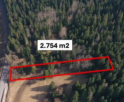 Krušetnica – 2.754 m2 LES s prístupom v podiele 1/1 – Predaj