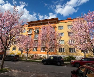 PREDANÝ 2  izbový tehlový byt 45m2 Zvolen centrum s terasou  