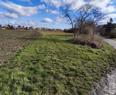 Investičná príležitosť, pozemok  na predaj, 3 399 m², Čierny Brod 