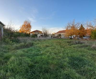 Stav. pozemok 815 m2 s budovou - garážou, Levice, Kalinčiakovo, SM-878