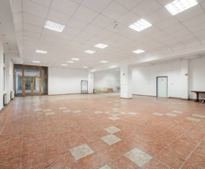 EXKLUZÍVNE NA PREDAJ – Obchodný priestor v centre Dunajskej Stredy
