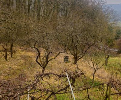 Záhradná chatka s pozemkom 758m2 v meste Trenčianske Teplice