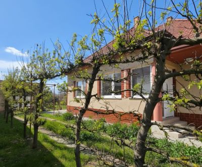 4i podpivničený  RD s garážou a studňou Križovany