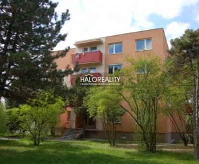 Predaj, štvorizbový byt Dunajská Streda