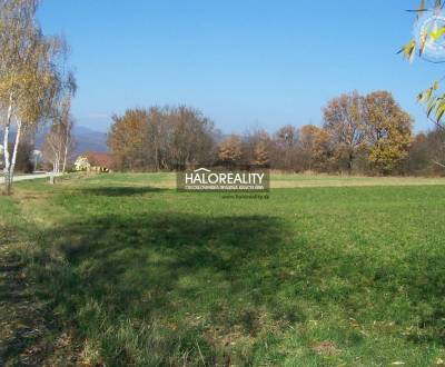 Predaj, pozemok pre rodinný dom   7430 m2 Oslany - E...