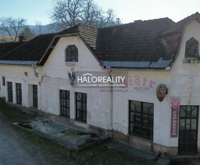 Predaj, polyfunkcia/obchodné priestory Tisovec, Daxn...