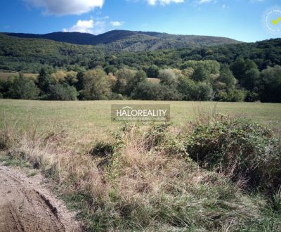Predaj, pozemok pre rodinný dom   2791 m2 Seč - EXKL...