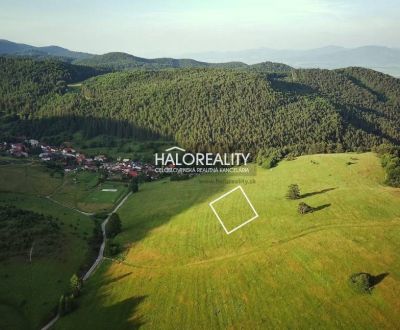 Predaj, pozemok pre rodinný dom   3000 m2 Brieštie -...