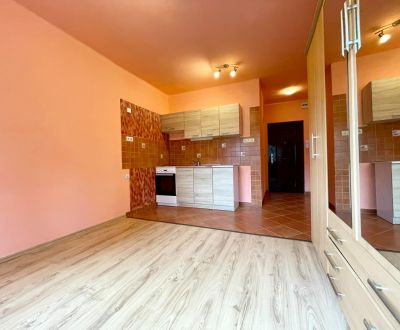 Kompletne prerobená garsónka /20m2/, Komárno