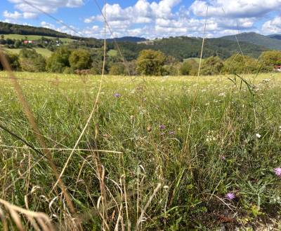 Veľká Čausa – 1.420 m2 POĽNOHOSPODÁRKA PÔDA a LESY