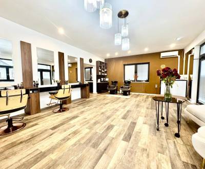 RADO I NA PRENAJOM ZABEHNUTE KADERNICTVO I BA - RUŽINOV