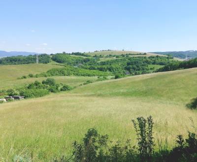 ZÁHRADA/INVESTIČNÝ POZEMOK 1090 m2, HNEVLIVÁ DOLINA, PREŠOV