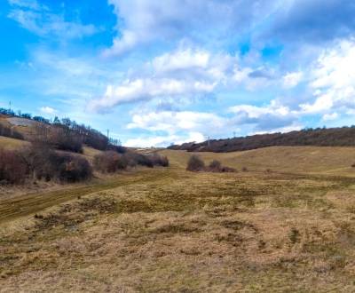 POZEMOK URČENÝ NA IBV, 700 m2, HNEVLIVÁ DOLINA, PREŠOV